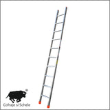 Scara simpla compacta ED1