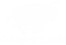 Schele Scari